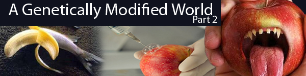 a genetically modified world part 2